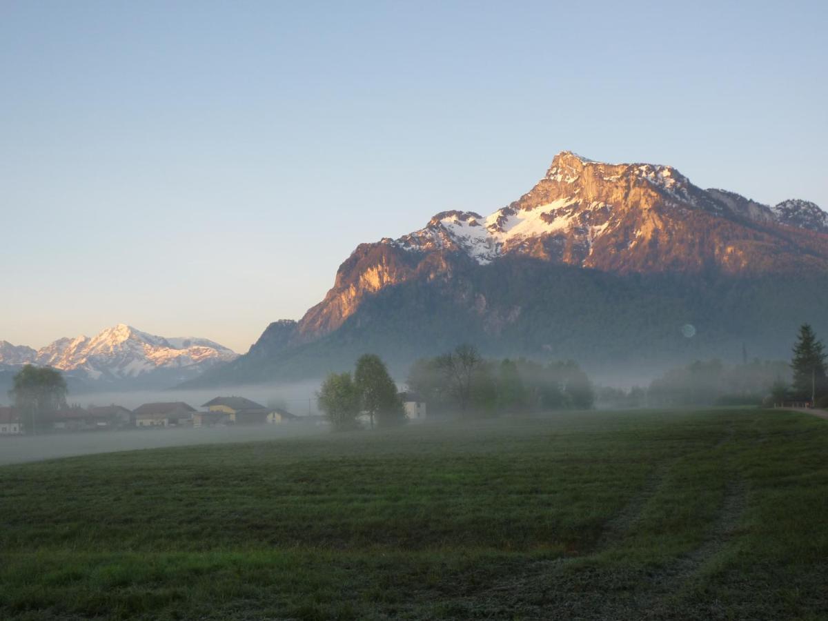 Top-2 Zimmer Ferienwohnung In Salzburg Mit Terrasse מראה חיצוני תמונה